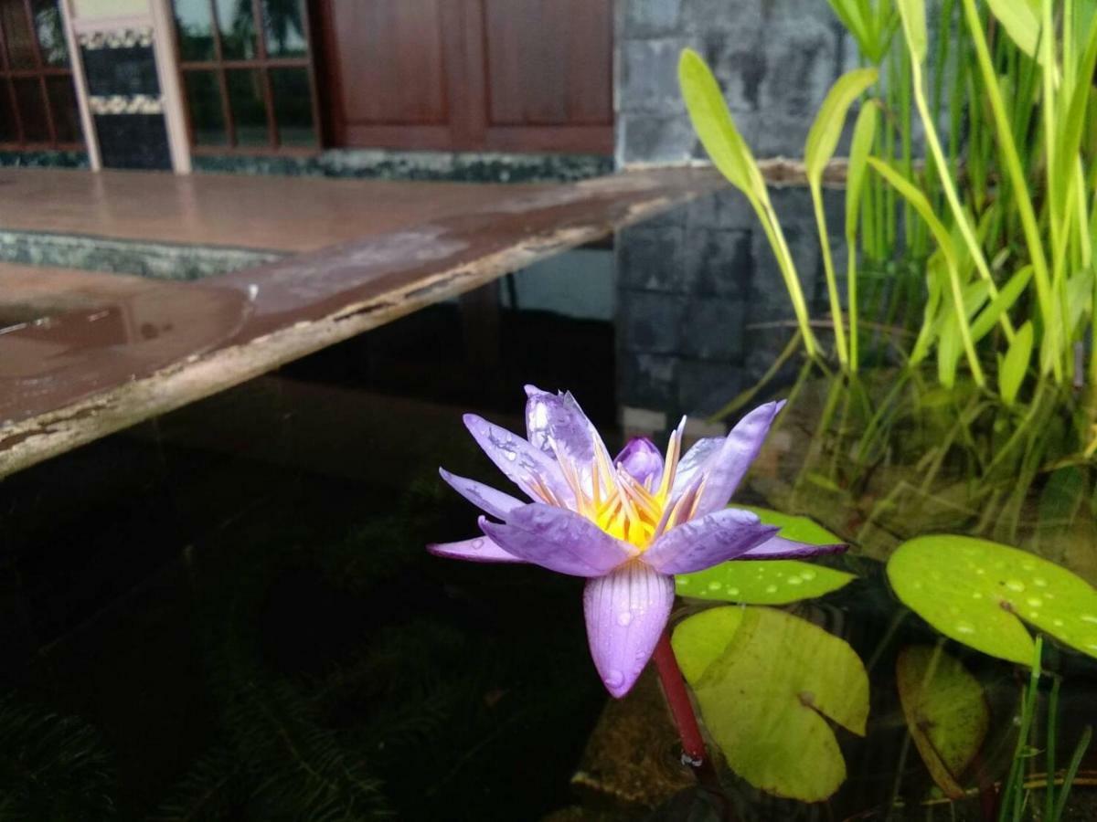 北极星酒店和度假村 Ban Mae Kon 外观 照片